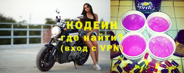 прущие грибы Грязовец